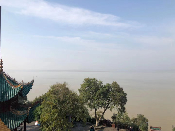 深圳醫(yī)療糾紛知名律師來講講甲狀腺手術(shù)醫(yī)療事故賠償?shù)姆砂咐头煞ㄒ?guī)分析